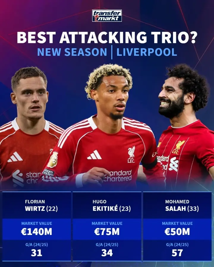 万欧, entit 万欧, entit