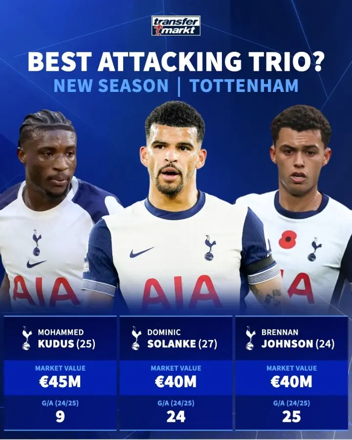 约翰逊, msn 约翰逊, msn